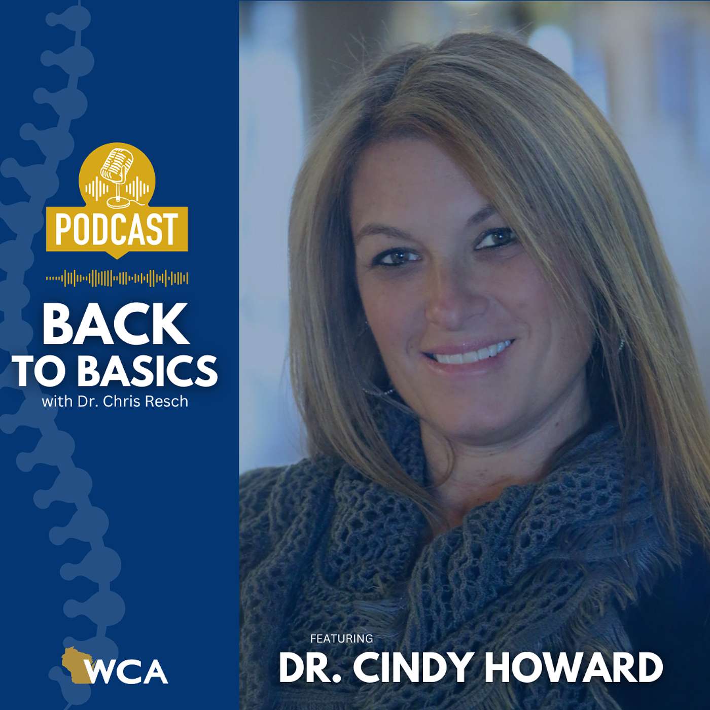 Dr. Cindy Howard: Patient Care, Functional Medicine and a Fascinating Life Journey episode artwork