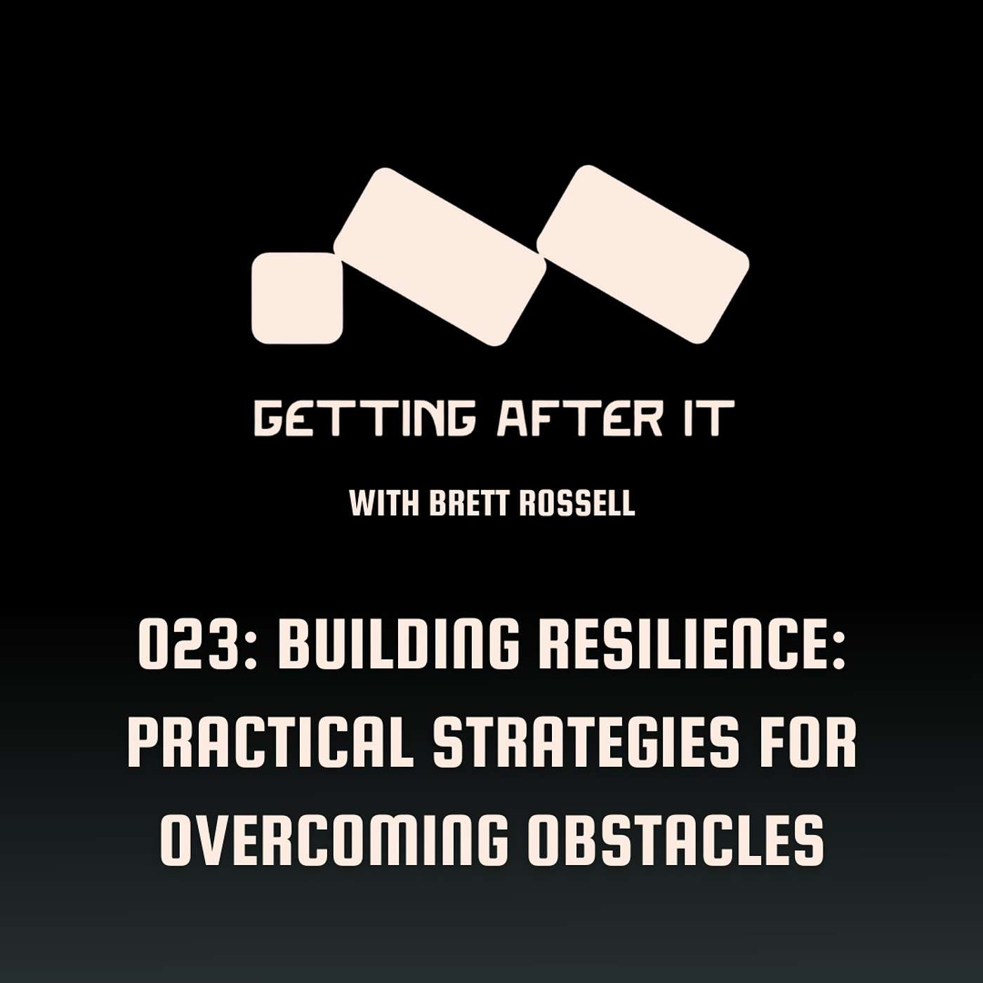 023: Building Resilience: Practical Strategies for Overcoming Obstacles