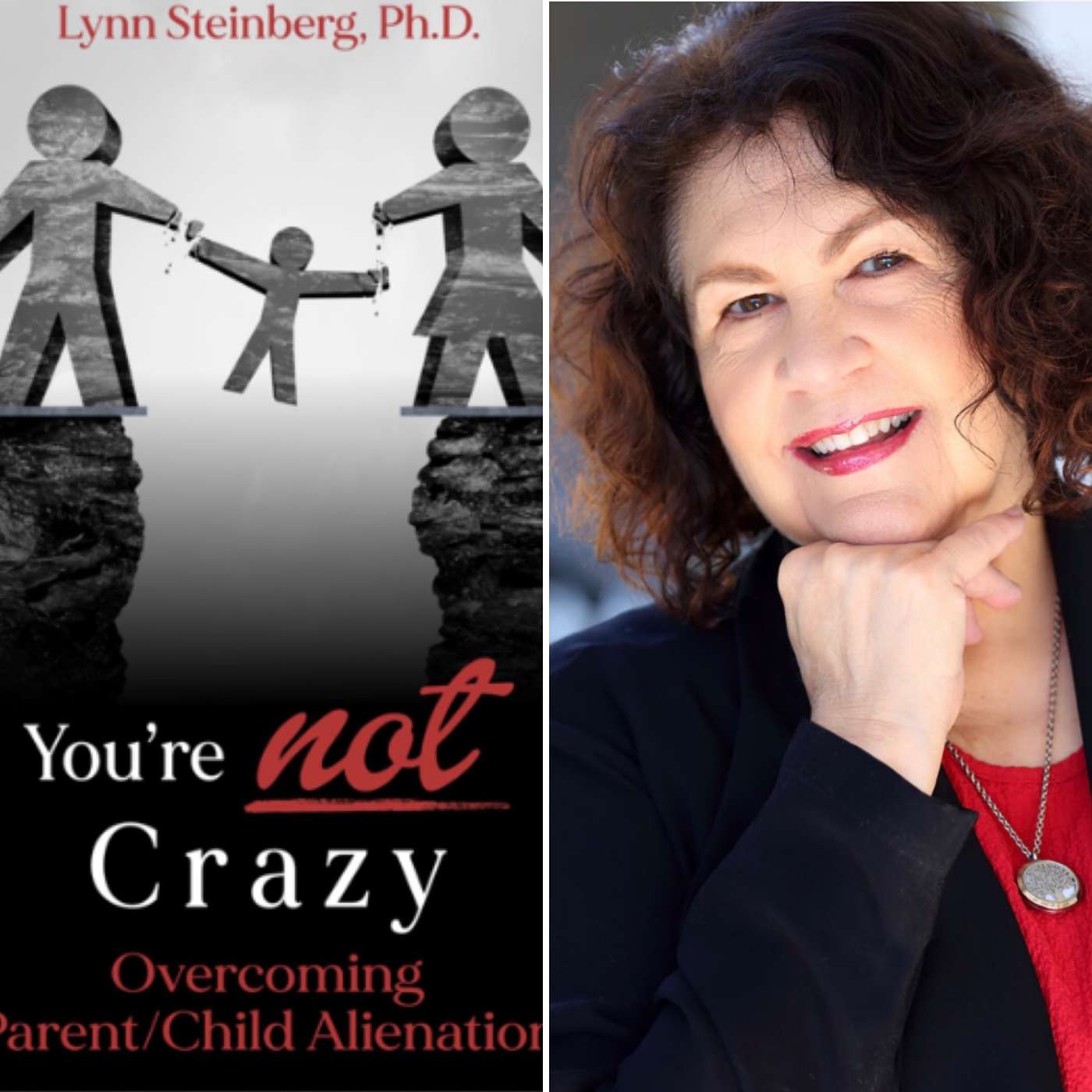 Lynn Steinberg, Ph.D. Discusses Coercive Control, Family Court And Her Book, "You're Not Crazy: Overcoming Parent/Child Alienation"