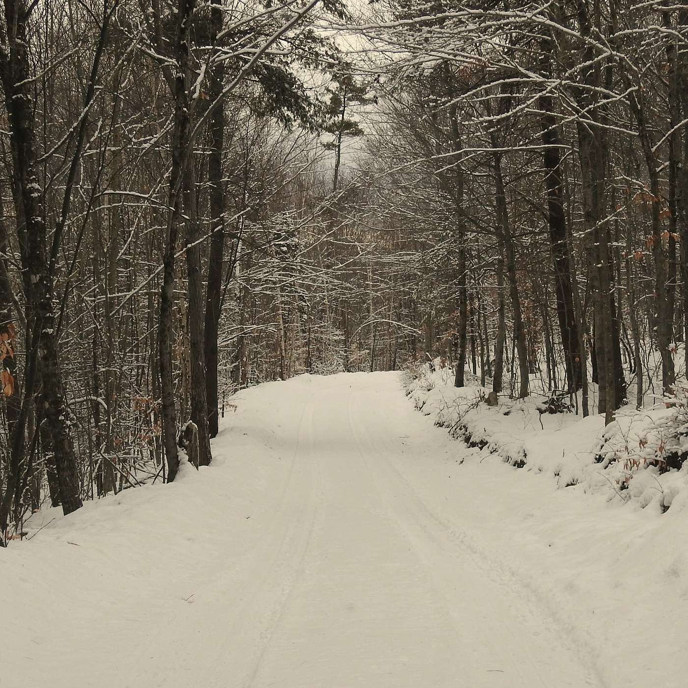 BACK COUNTRY LIVING