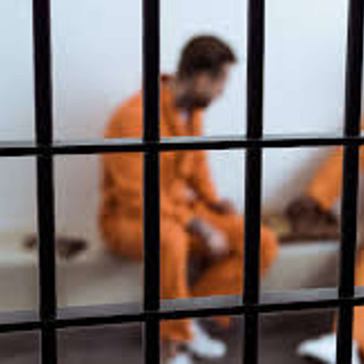 Teacher Tails - Karrer Shorts