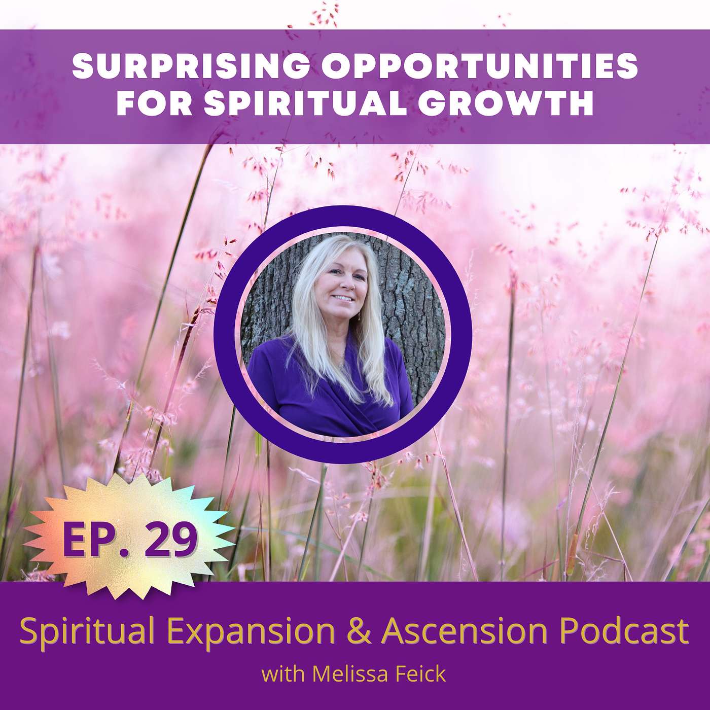 Episode 29: Surprising Opportunities for Spiritual Growth episode artwork