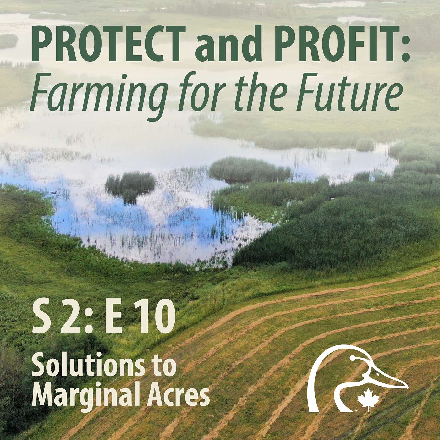 2026 02 February - Solutions to Marginal Cropland episode artwork