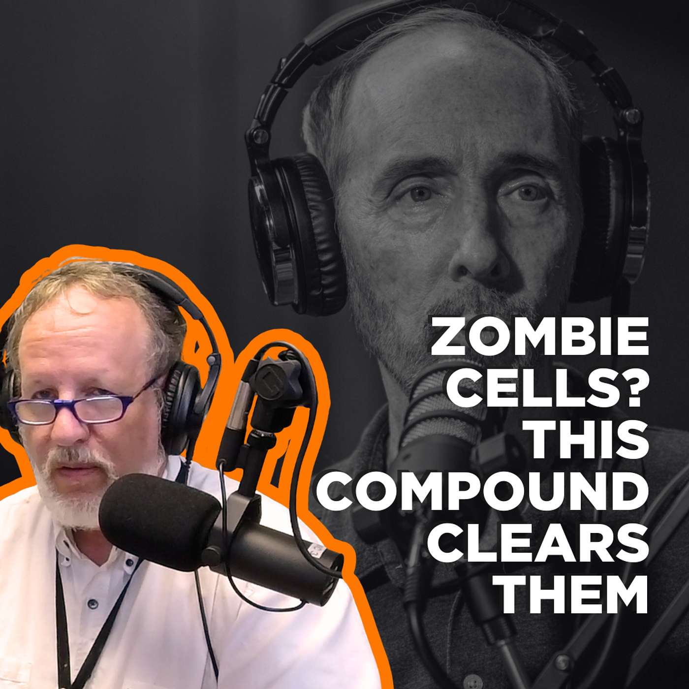 How Curcumin Supports Stem Cells, Inflammation Relief, and Longevity How Curcumin Supports Stem Cells, Inflammation Relief, and Longevity