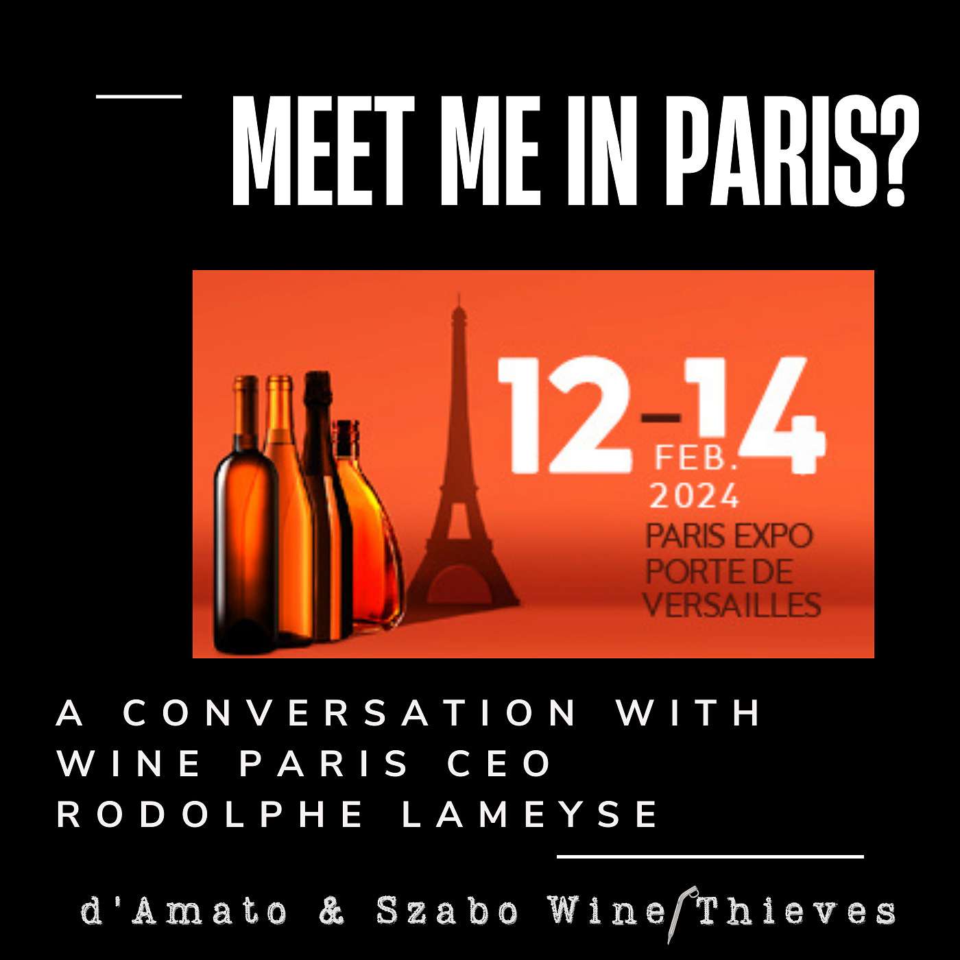 S3 E7: Meet me in Paris? A Conversation with Wine Paris CEO Rodolphe Lameyse
