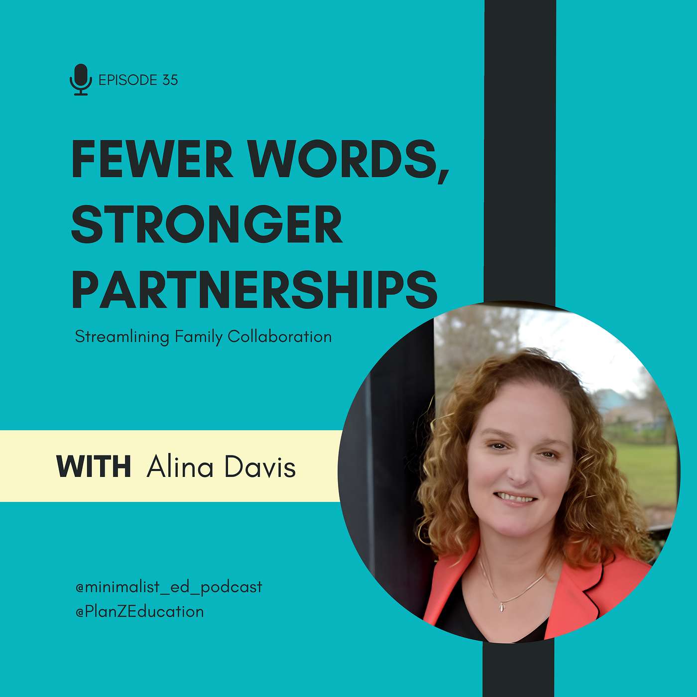 Ep 035 — Fewer Words, Stronger Partnerships: Streamlining Family Collaboration with Alina Davis episode artwork
