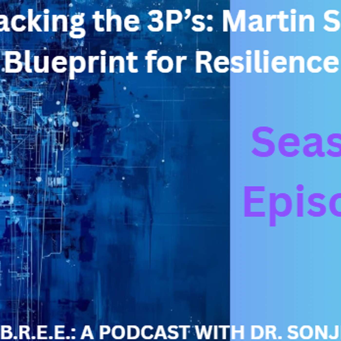 Cracking the 3P’s: Martin Seligman’s Blueprint for Resilience episode artwork