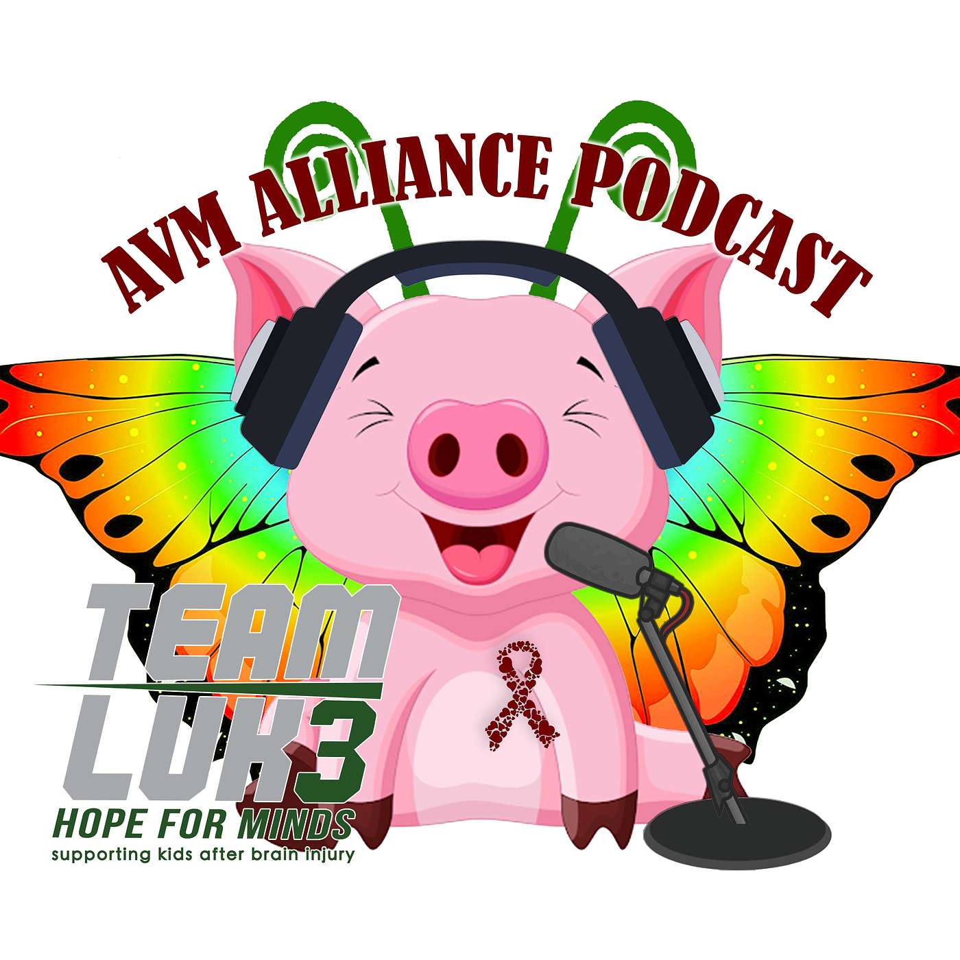 AVM Alliance Podcast