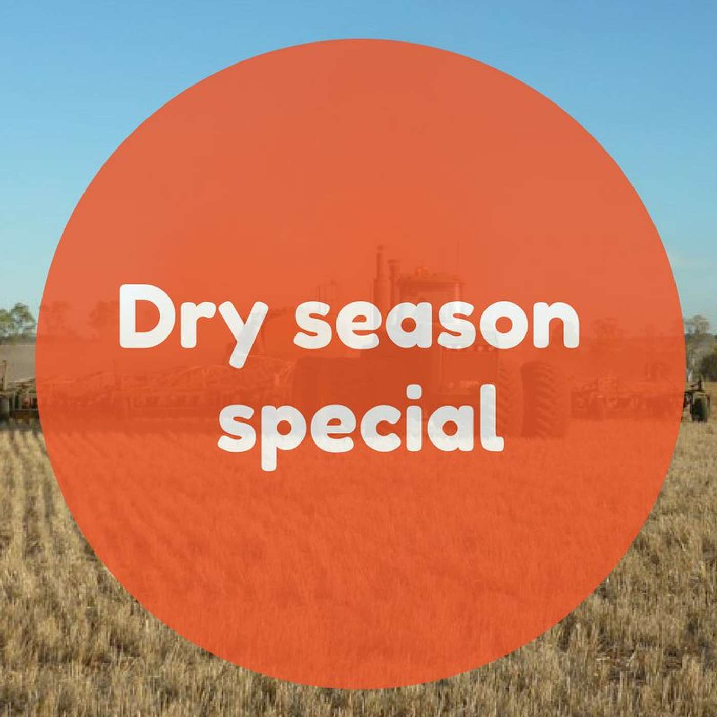 Dry Season Special