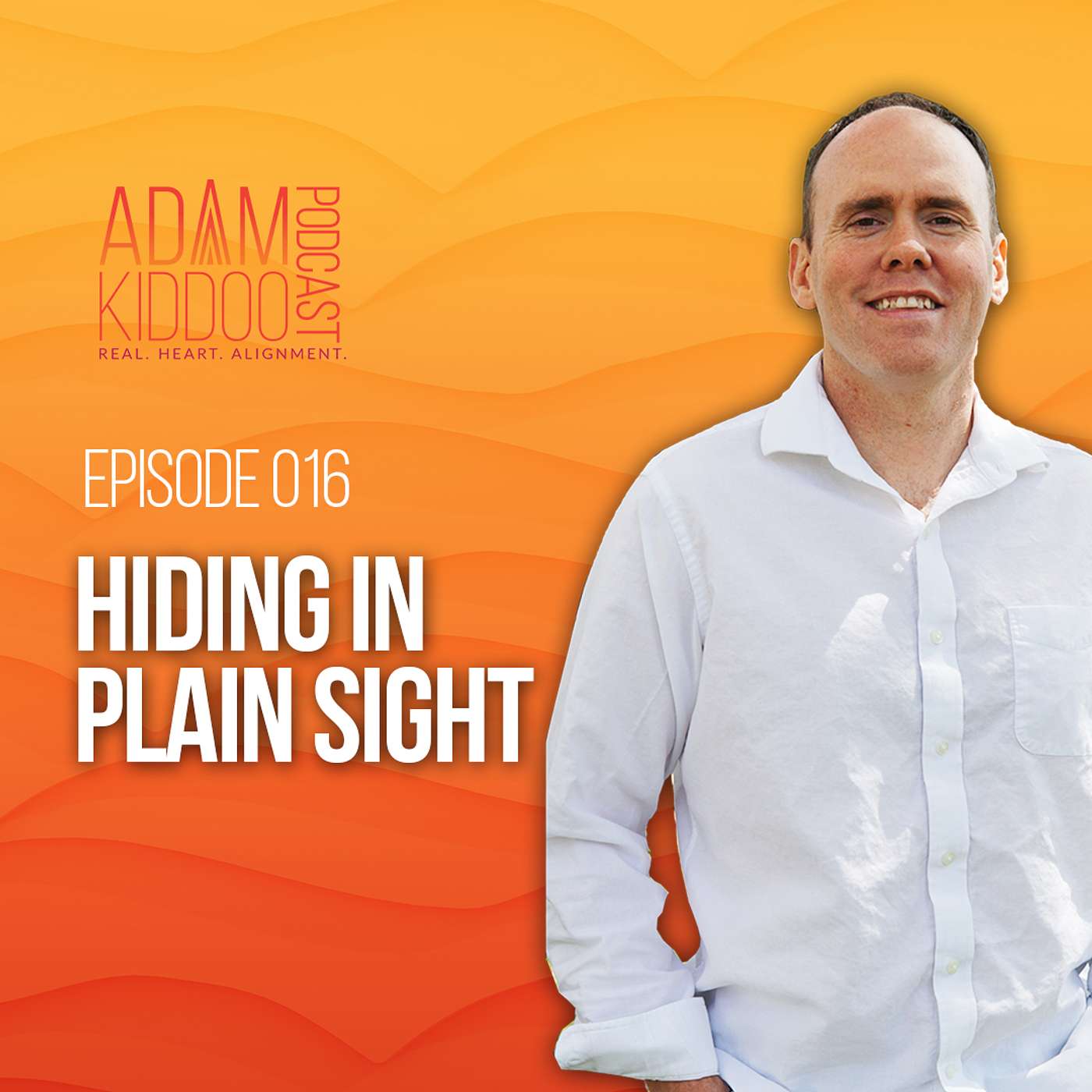 Hiding In Plain Sight