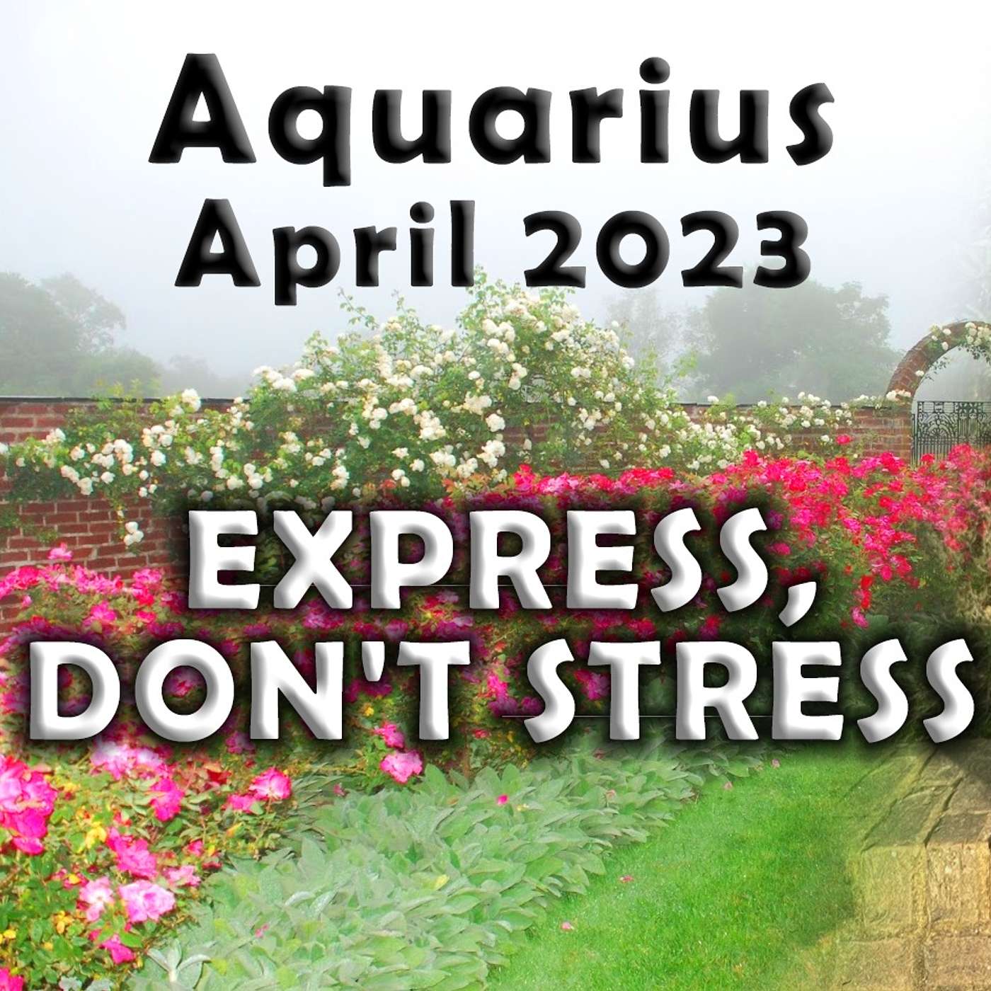 Aquarius April 2023 EXPRESS, DON'T STRESS (Astrology Horoscope Forecast)
