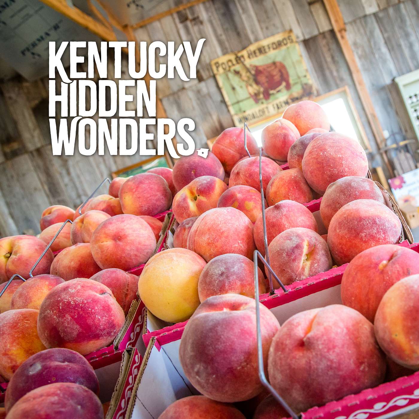 Kentucky Hidden Wonders