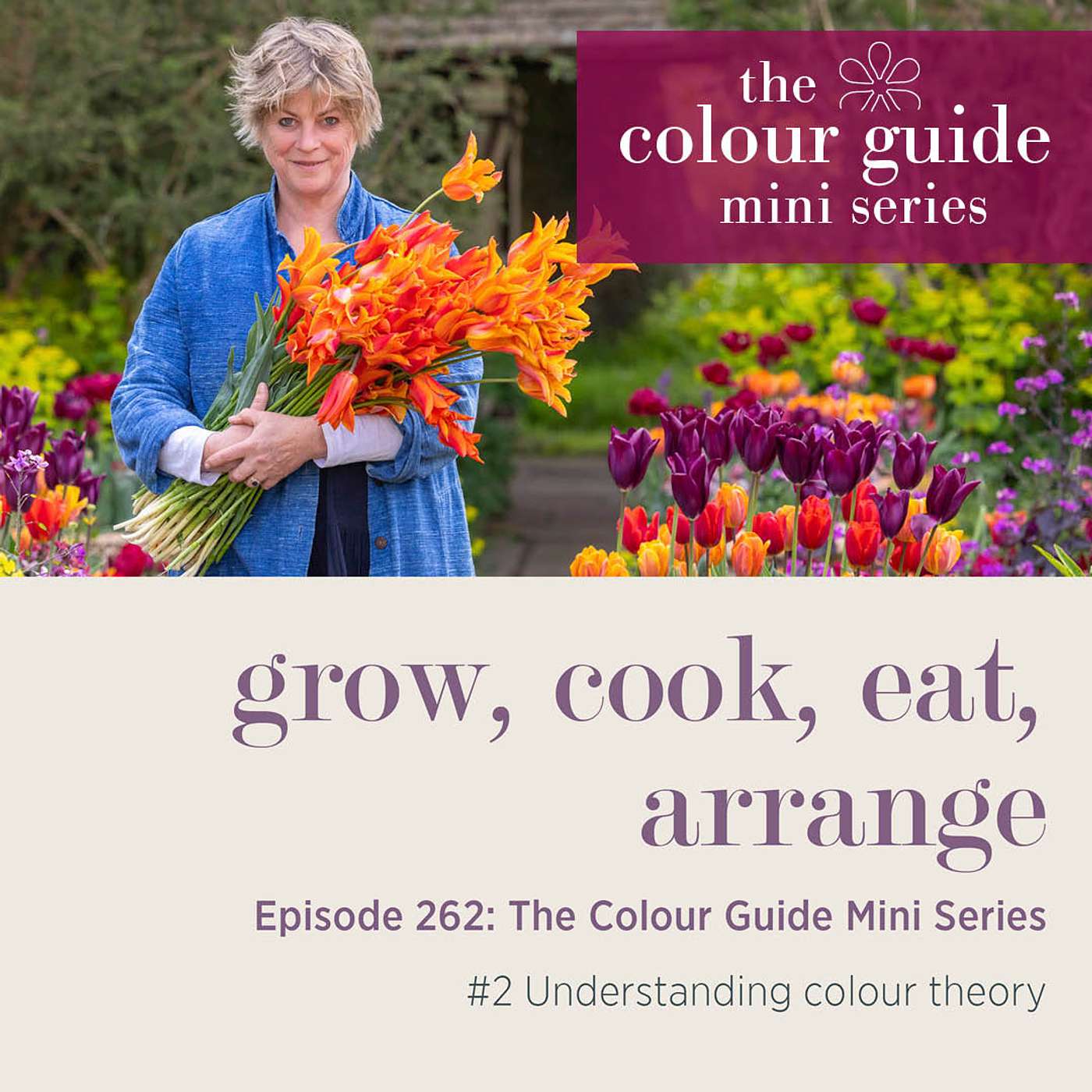 The Colour Guide Mini Series #2: Understanding colour theory - Episode 262