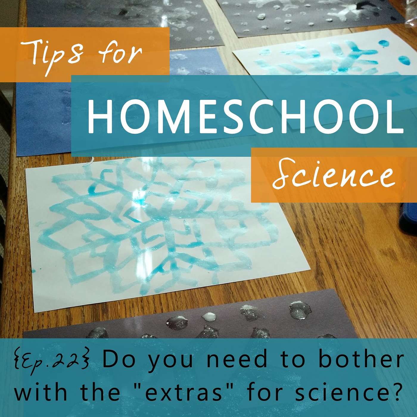Ep 22 - Do you need to bother with the "extras" for science? episode artwork