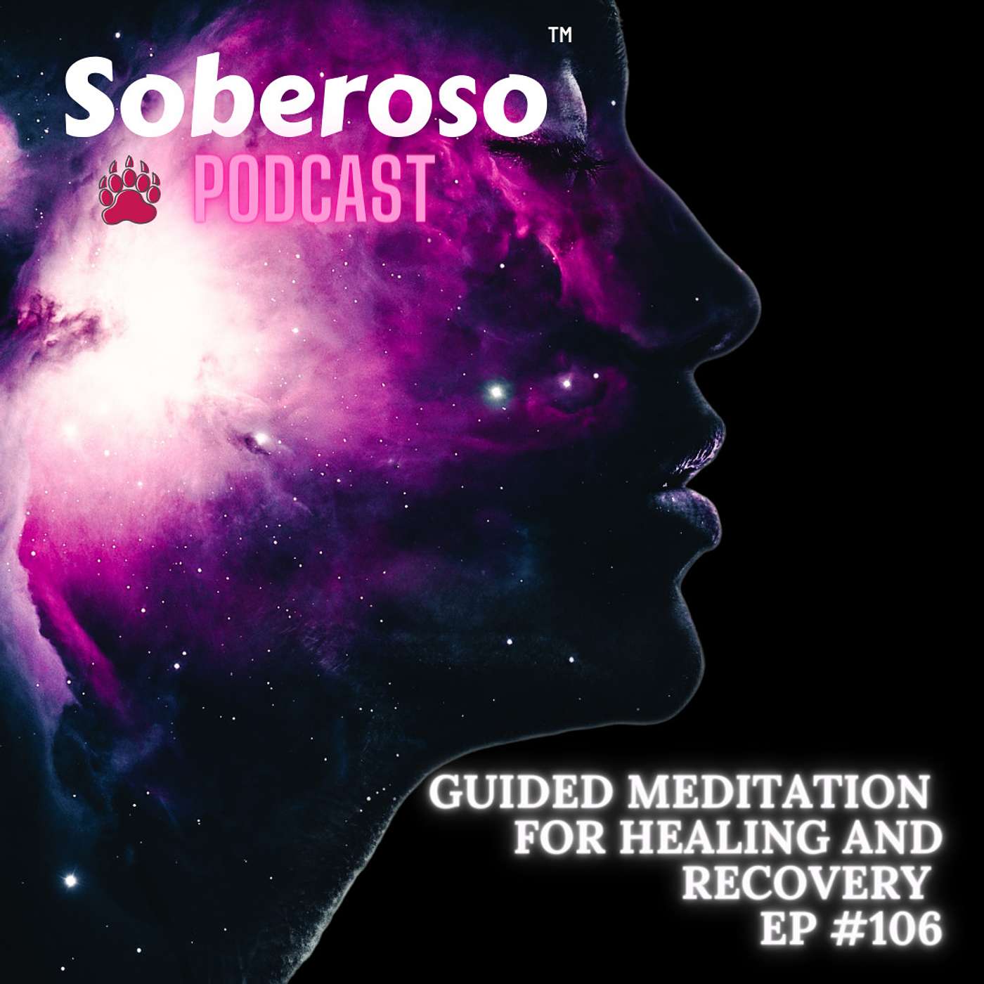 Guided Meditation - Connection