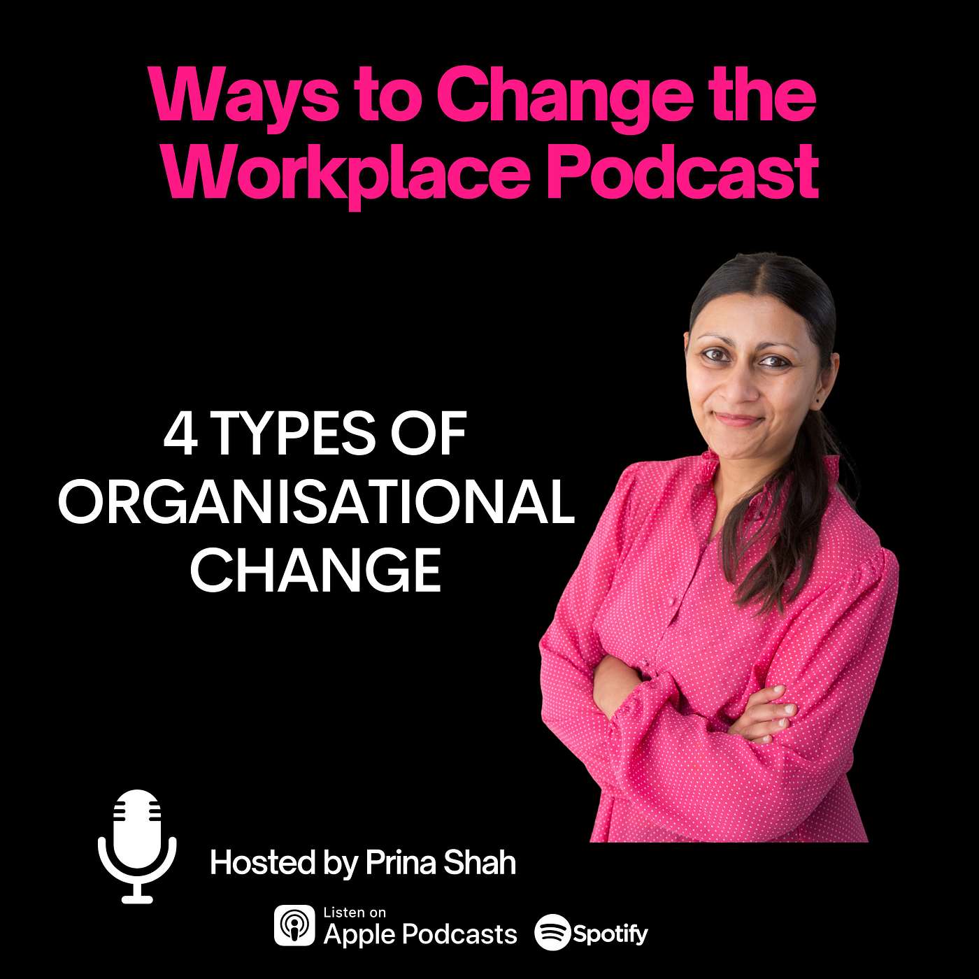 48. Four Types of Organisational Change, with Prina Shah episode artwork