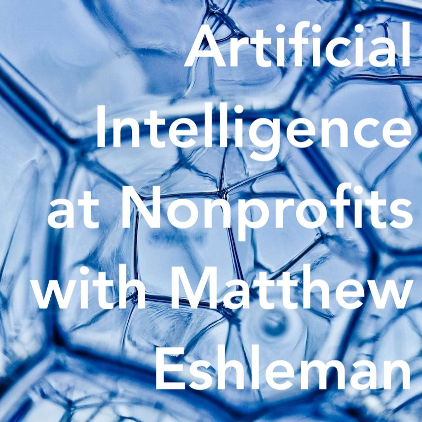 AI Artificial Intelligence at Nonprofits with Matt Eshleman