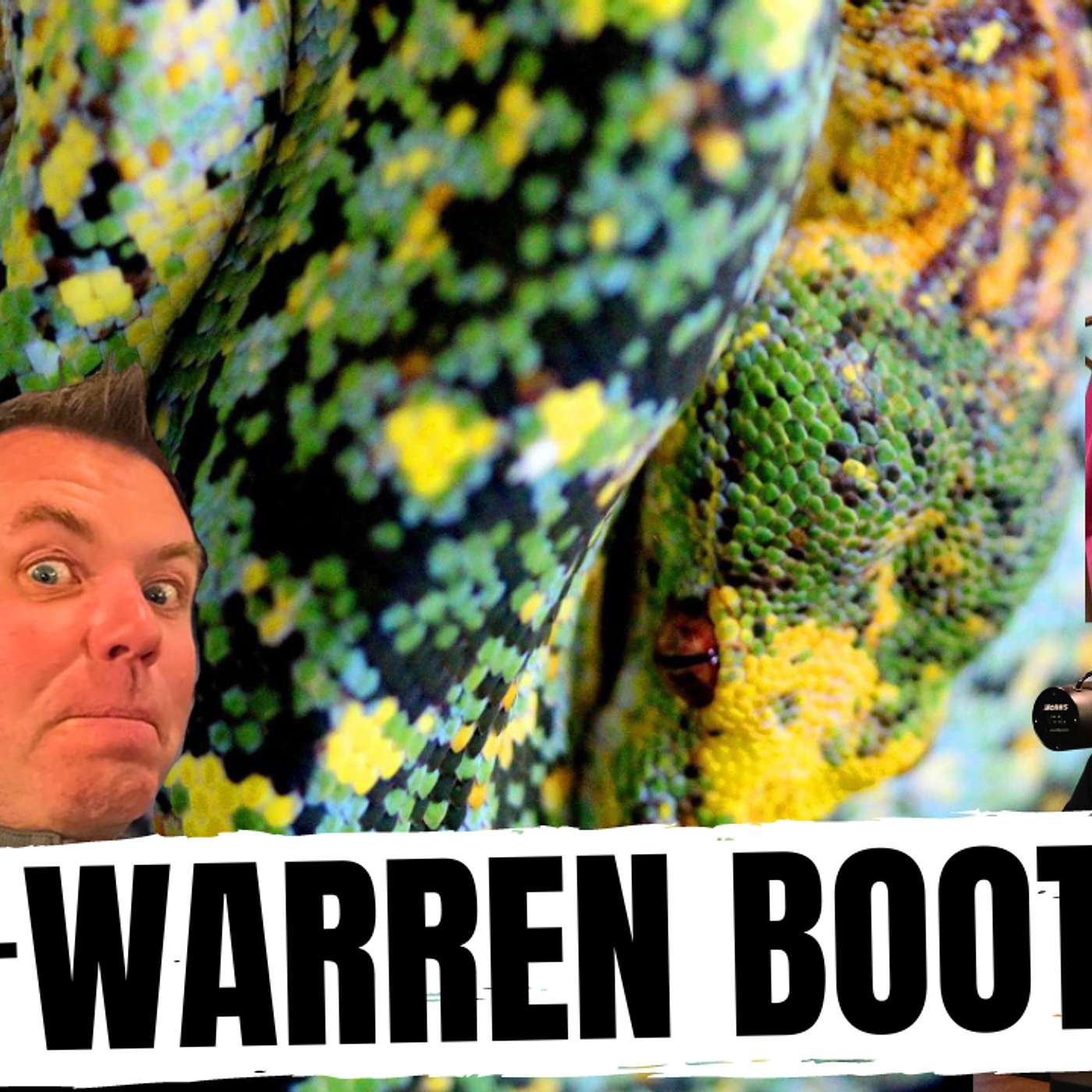 HAS WARREN GOTTEN ANY 