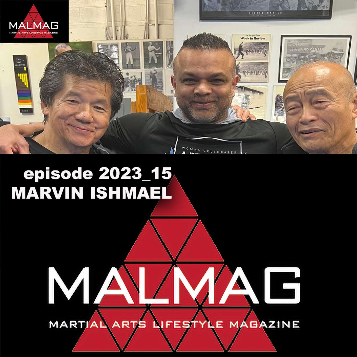 The Martial Arts Lifestyle Podcast