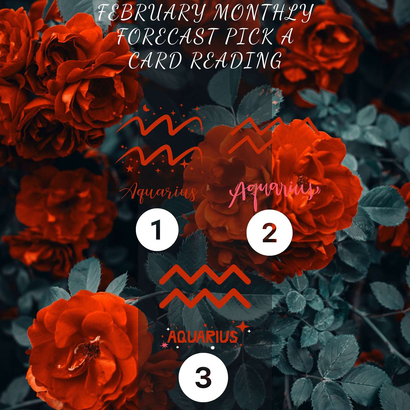 February Monthly Forecast Pick A Card Reading Aquarius #2 episode artwork