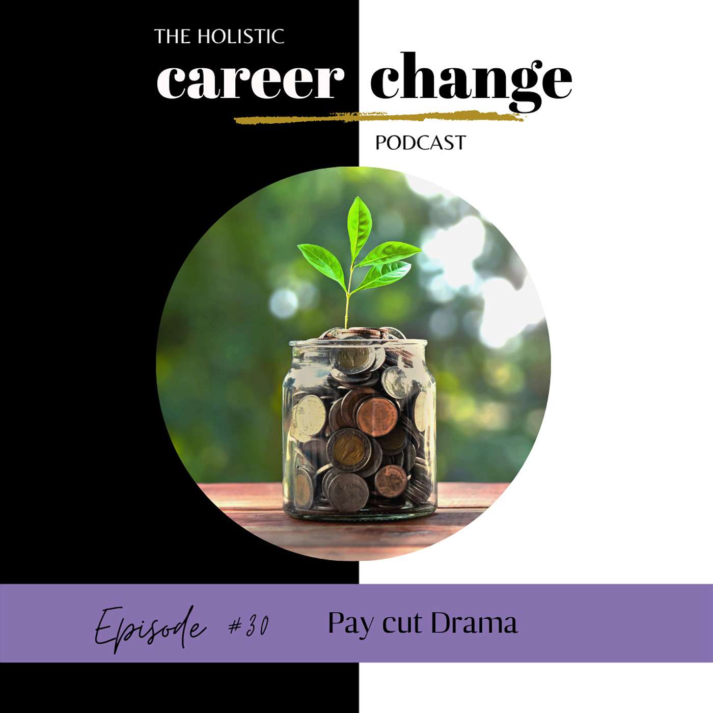 Holistic Career Change