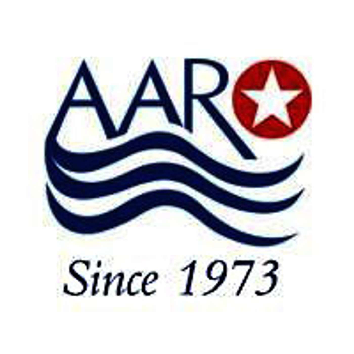 AARO Voices - Banking for Expats episode artwork