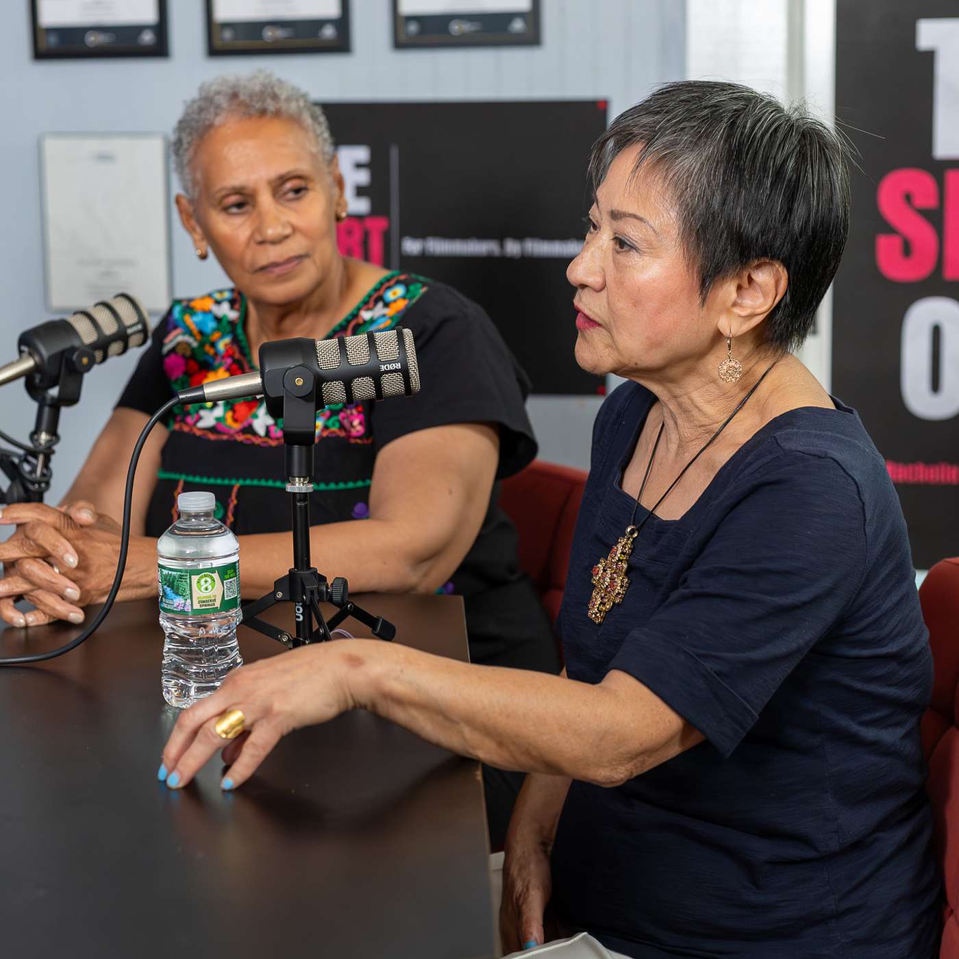 Cynthia Johnson & Suzette Stranding | Authors episode artwork