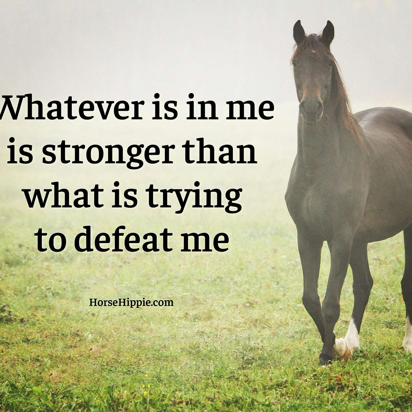 You Are Your Reminder of How Strong You Are