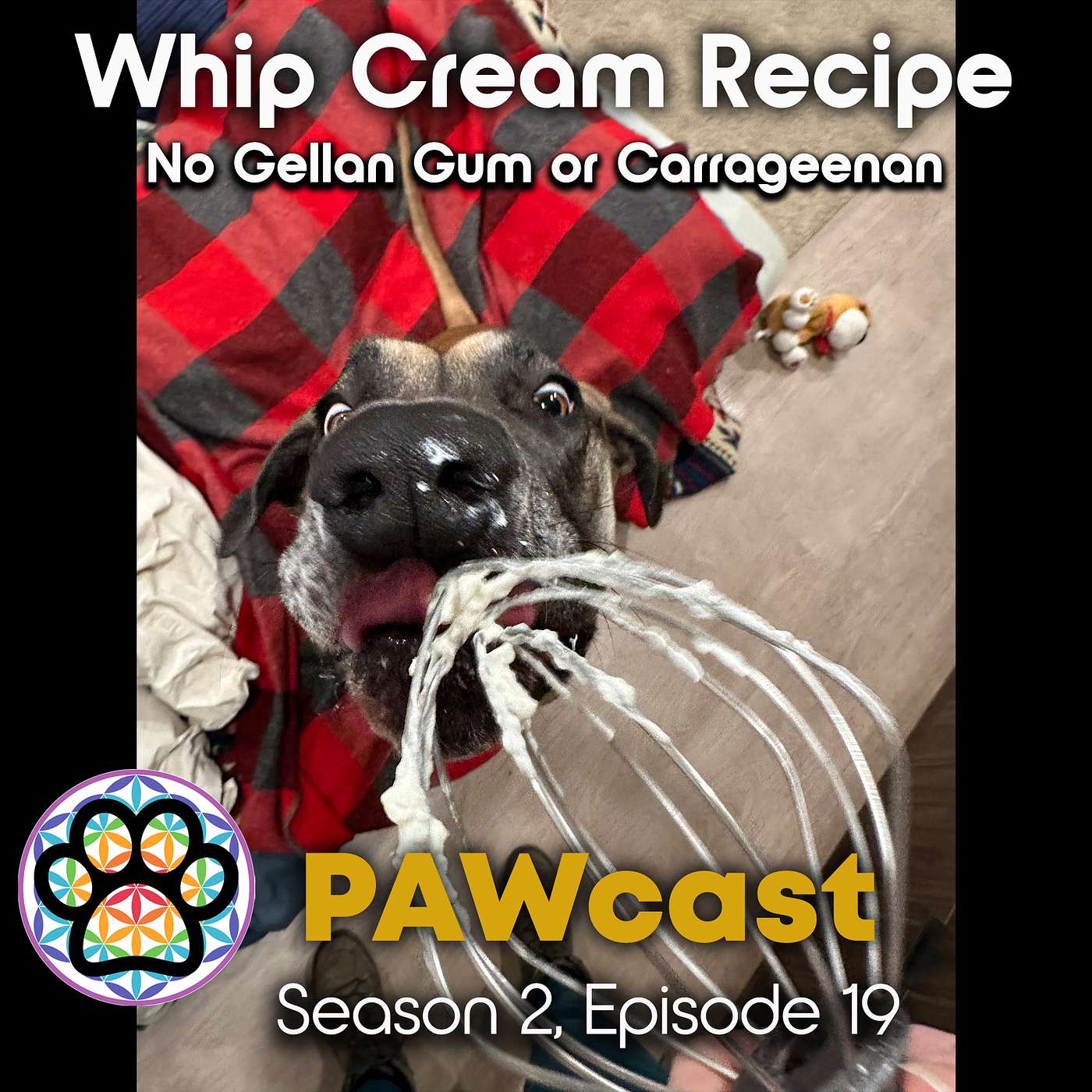 Whipping Cream Made Without Gellan Gum or Carrageenan episode artwork