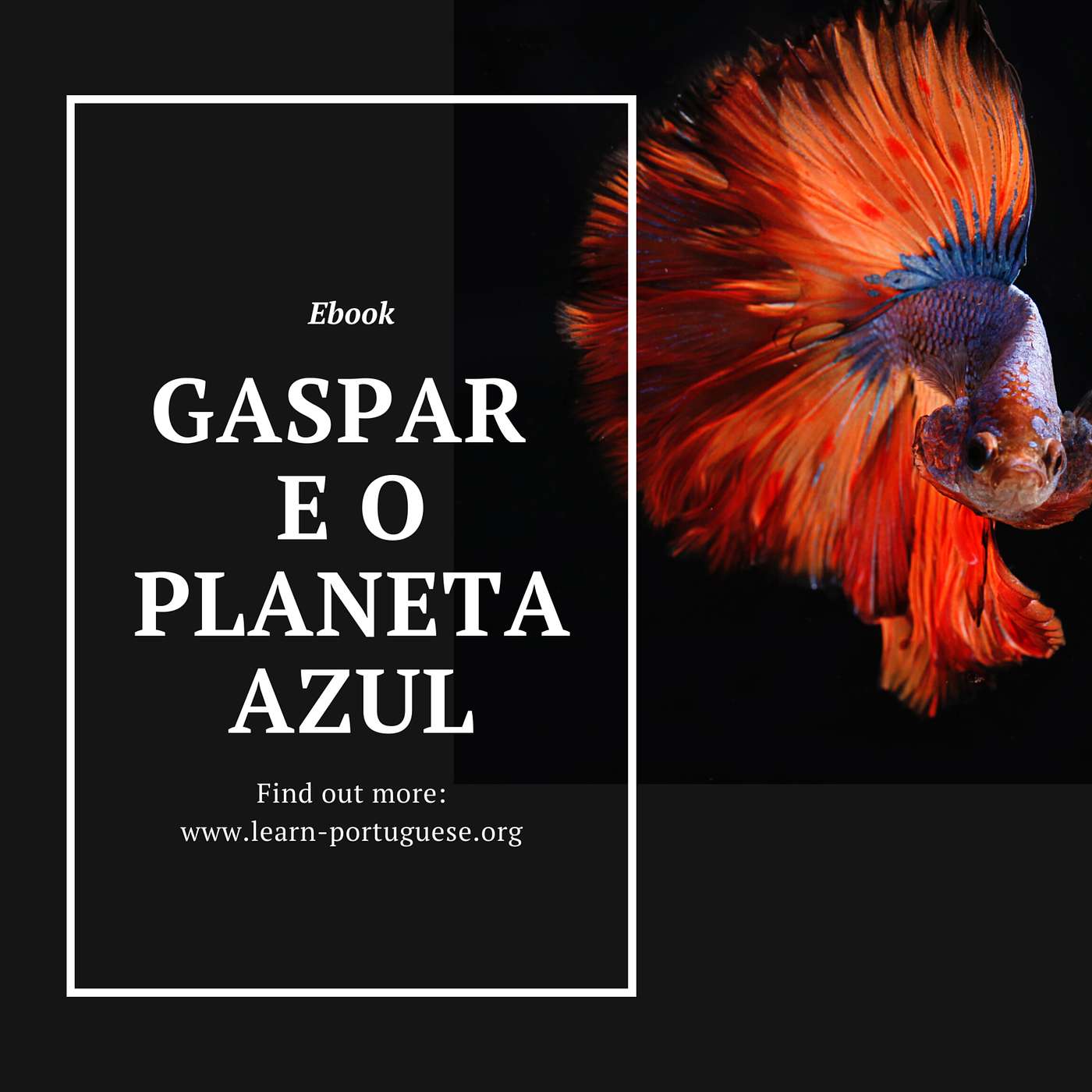 Gaspar e o Planeta Azul - Episódio 1