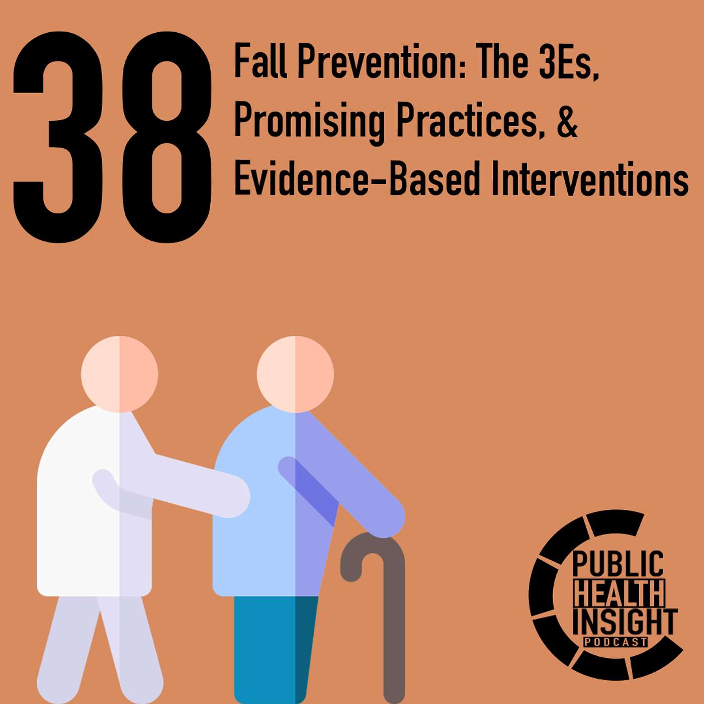 Fall Prevention: The 3Es, Promising Practices, & Evidence-Based Interventions