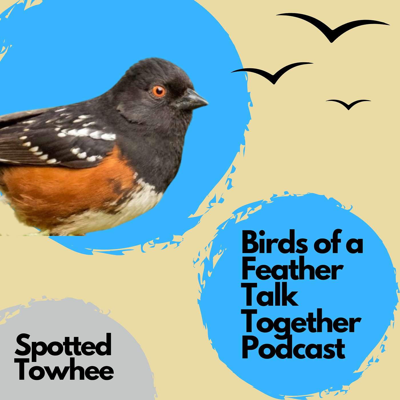 Birds of a Feather Talk Together