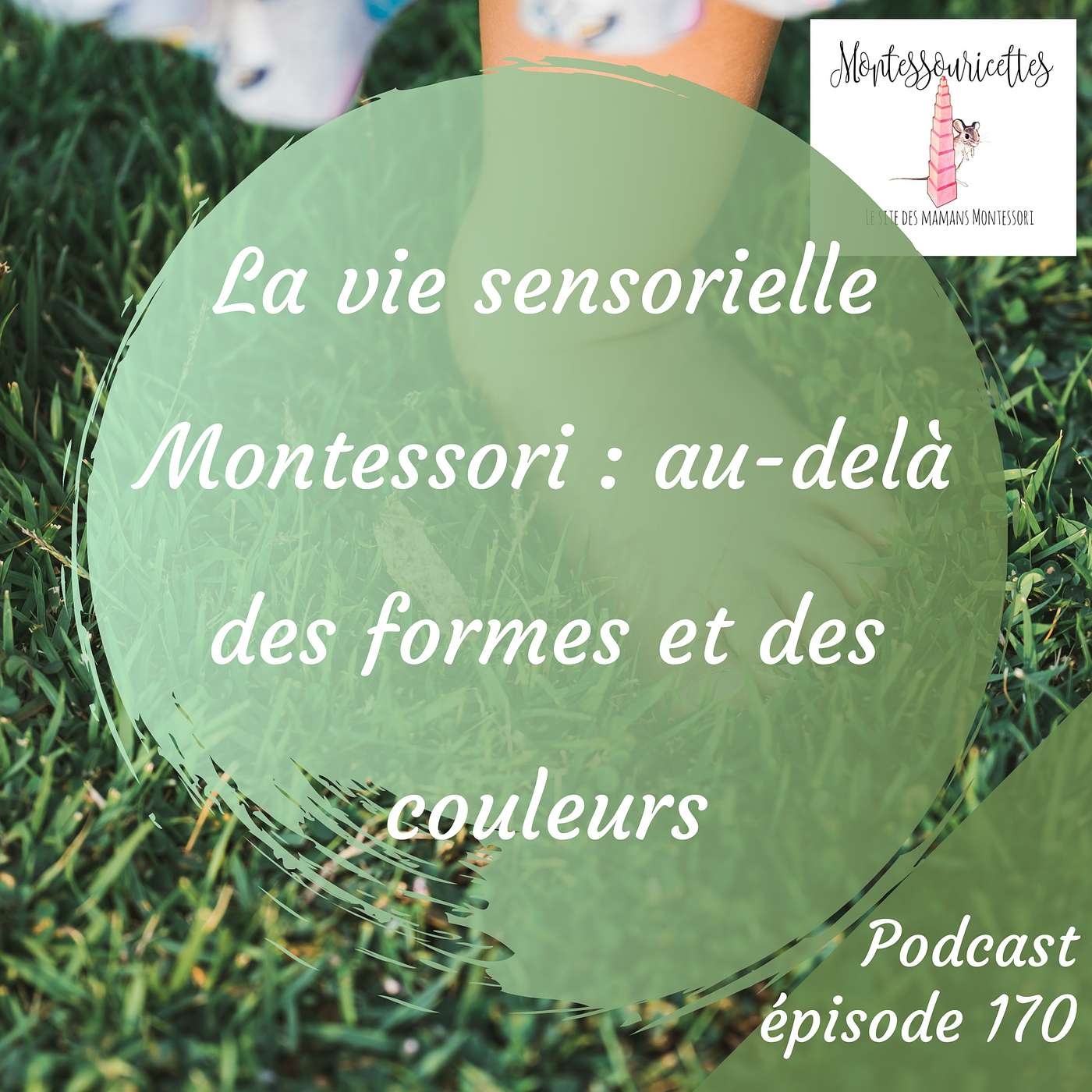 170. La vie sensorielle Montessori : au-delà des formes et des couleurs (Redif) episode artwork