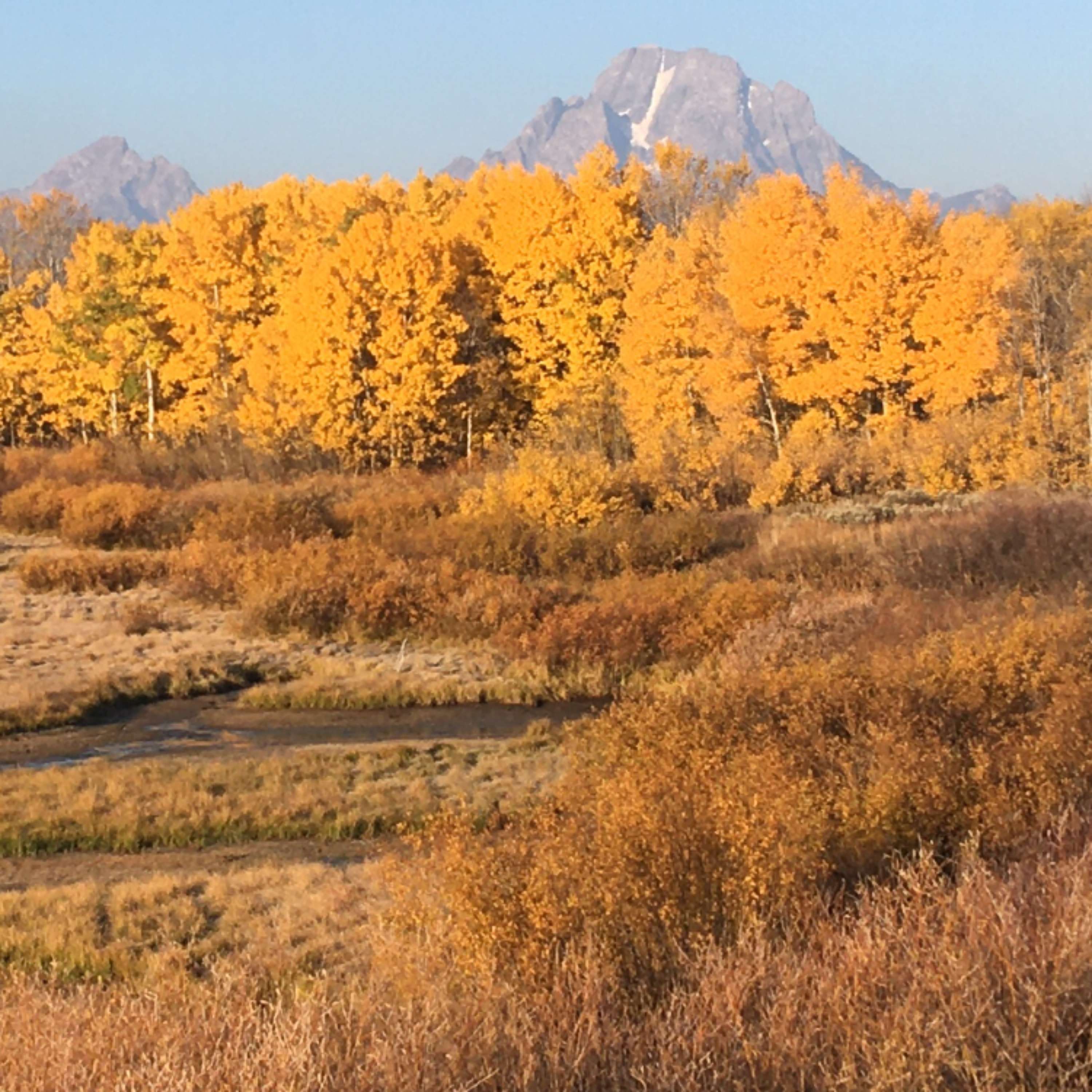 Lifter-Uppers cover art