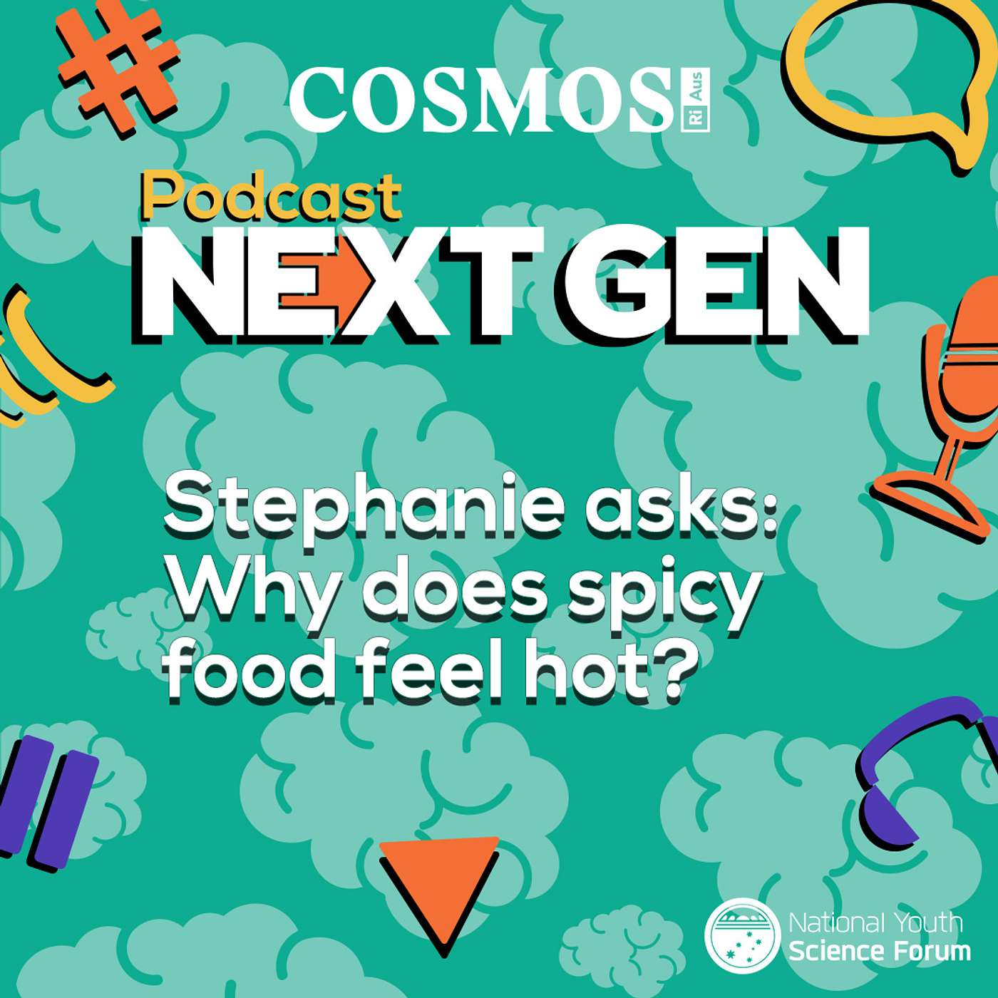 Podcast Next Gen: Why does spicy food feel hot?