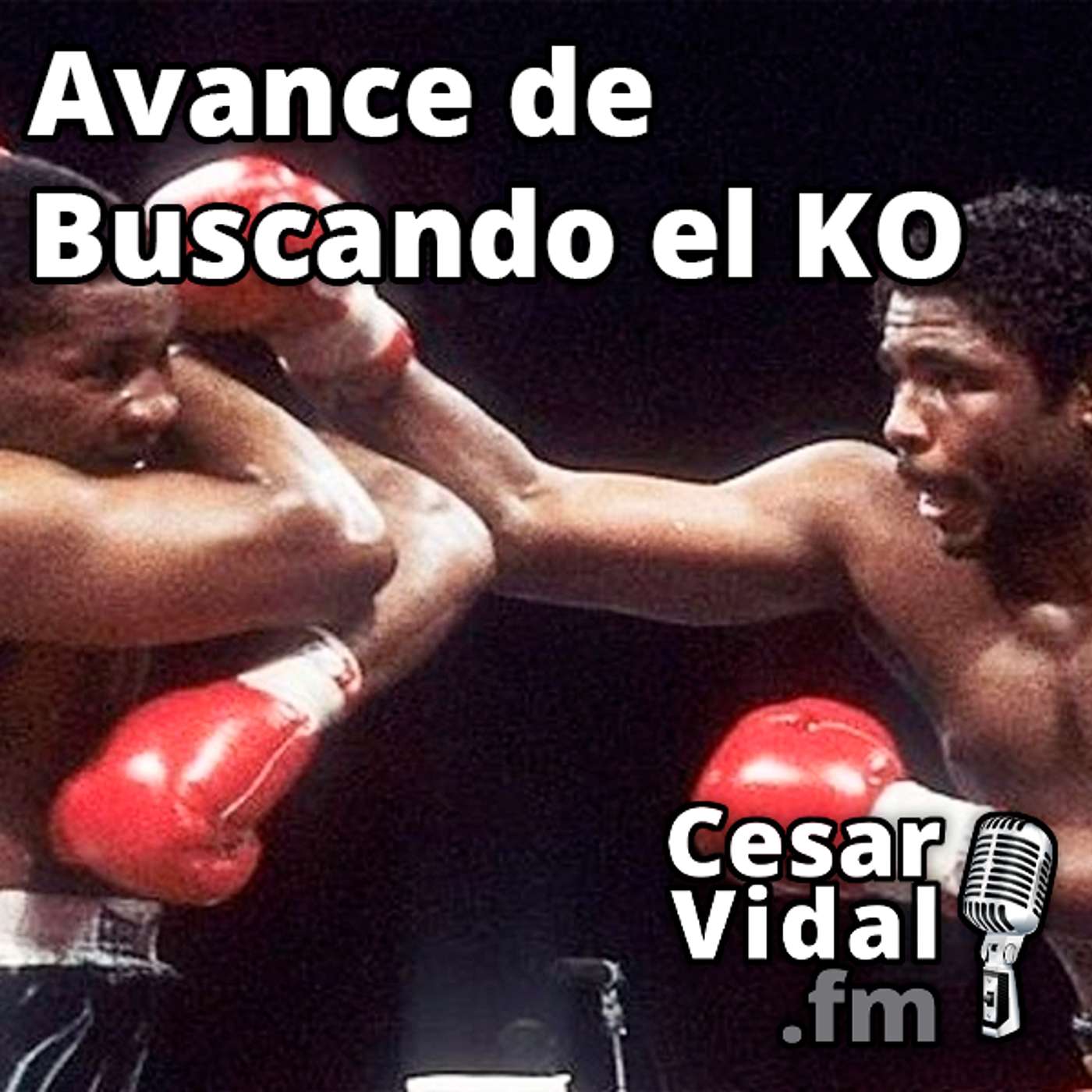 Avance de Buscando el KO - 27/09/24