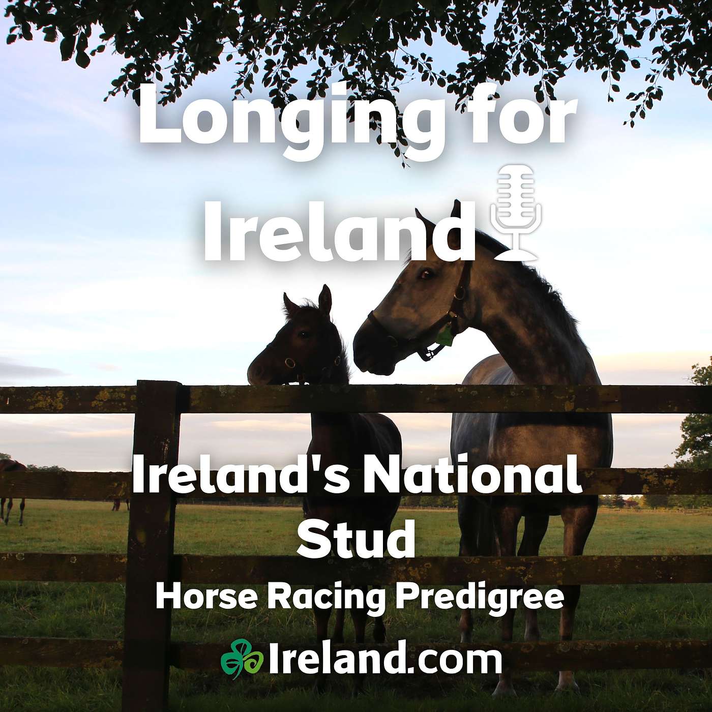 The Irish National Stud - Horese Racing Pedigree