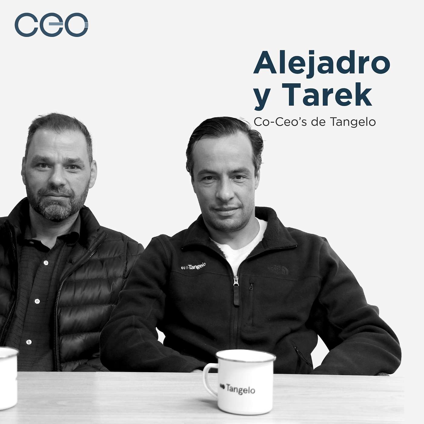 Conversaciones Con CEOs