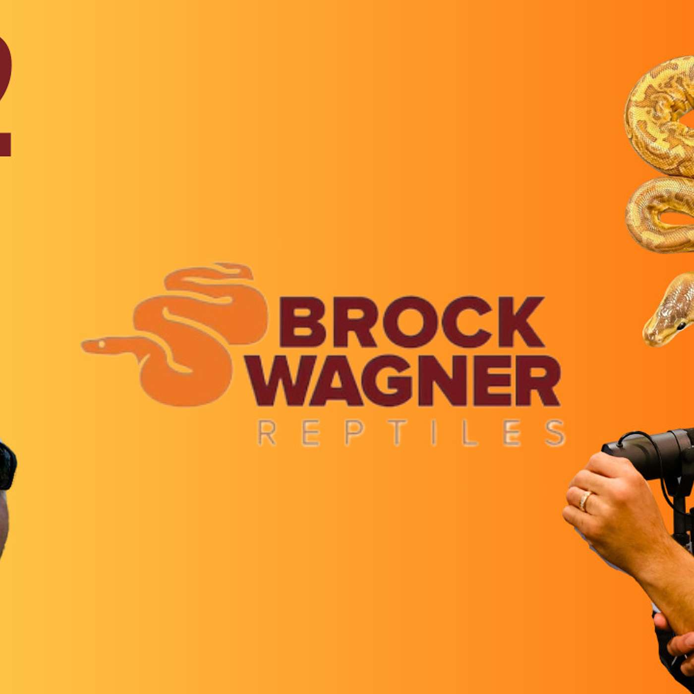 How Brock Wagner feels about the Sunset Ball Python project