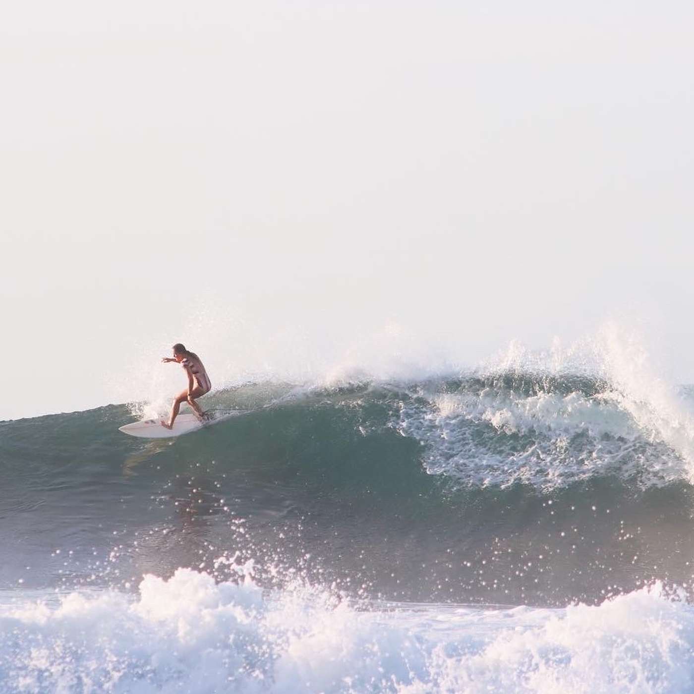 Wilding Fifty: Surf Tales