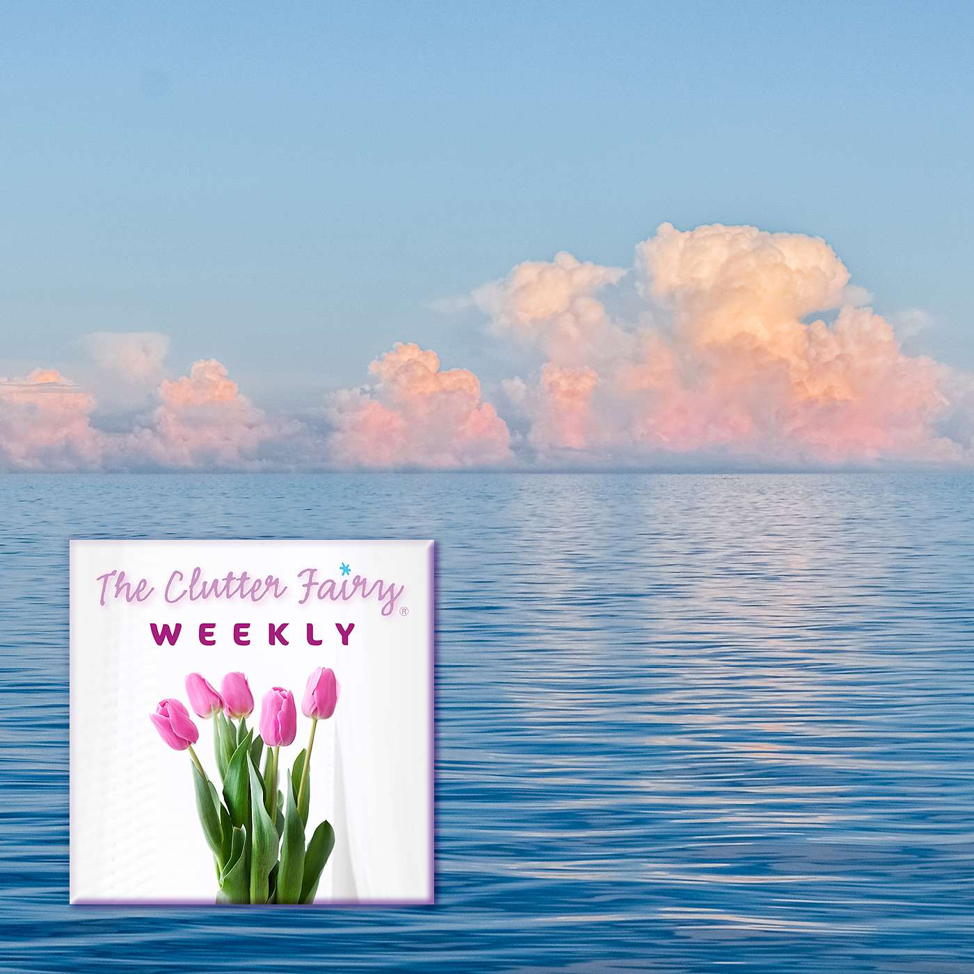 The Clutter Fairy Weekly