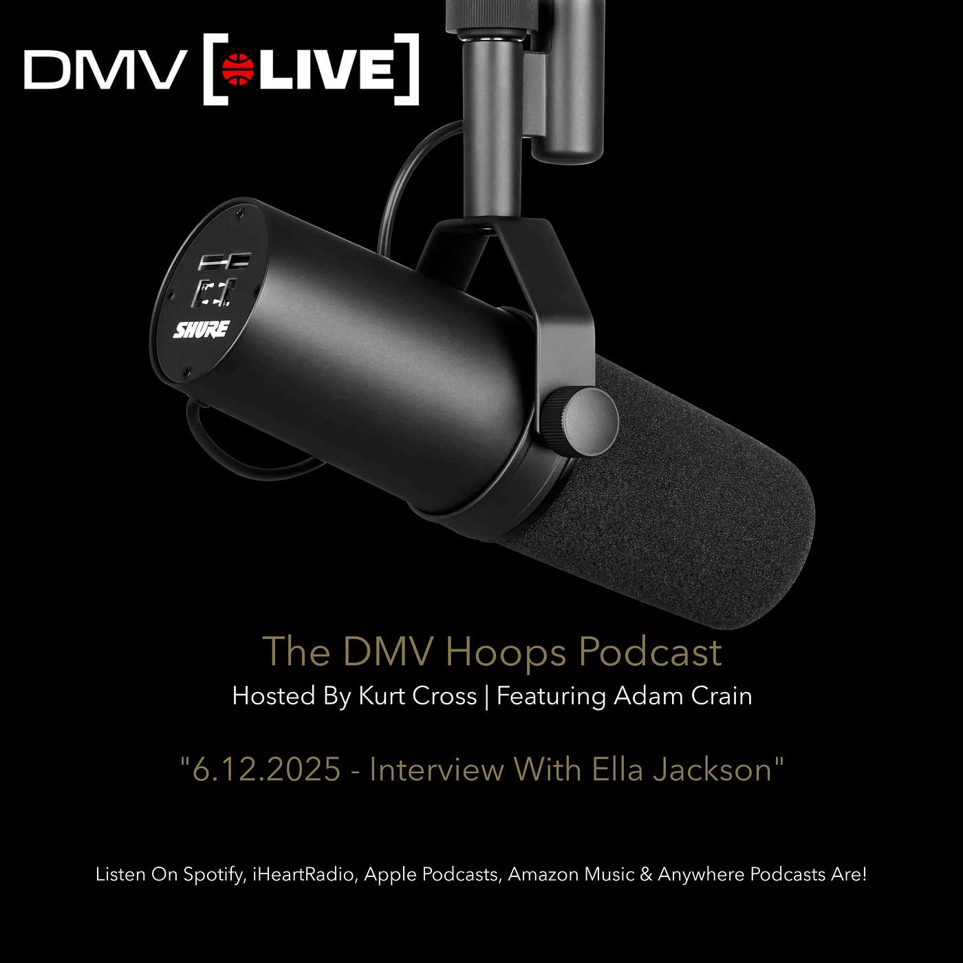 The DMV Hoops Podcast