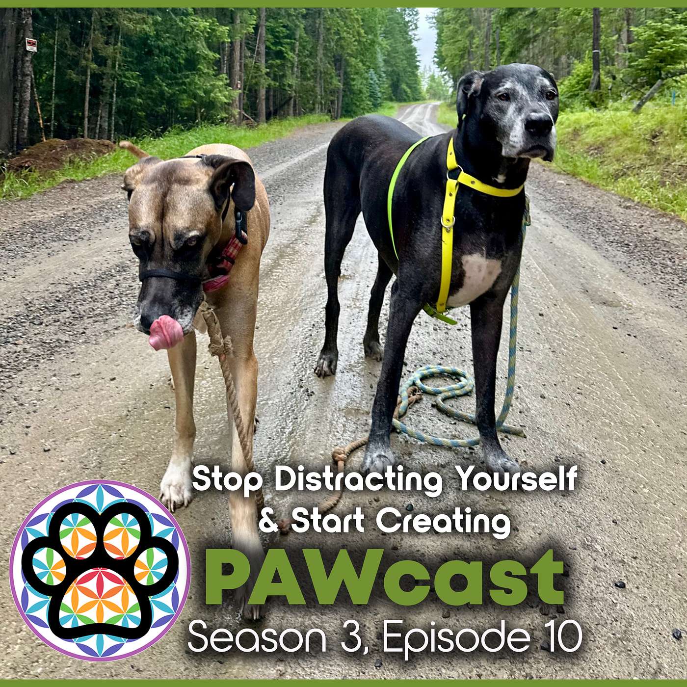 41: Your Life Isn’t Wasted Potential - Stop Distracting Yourself & Start Creating episode artwork