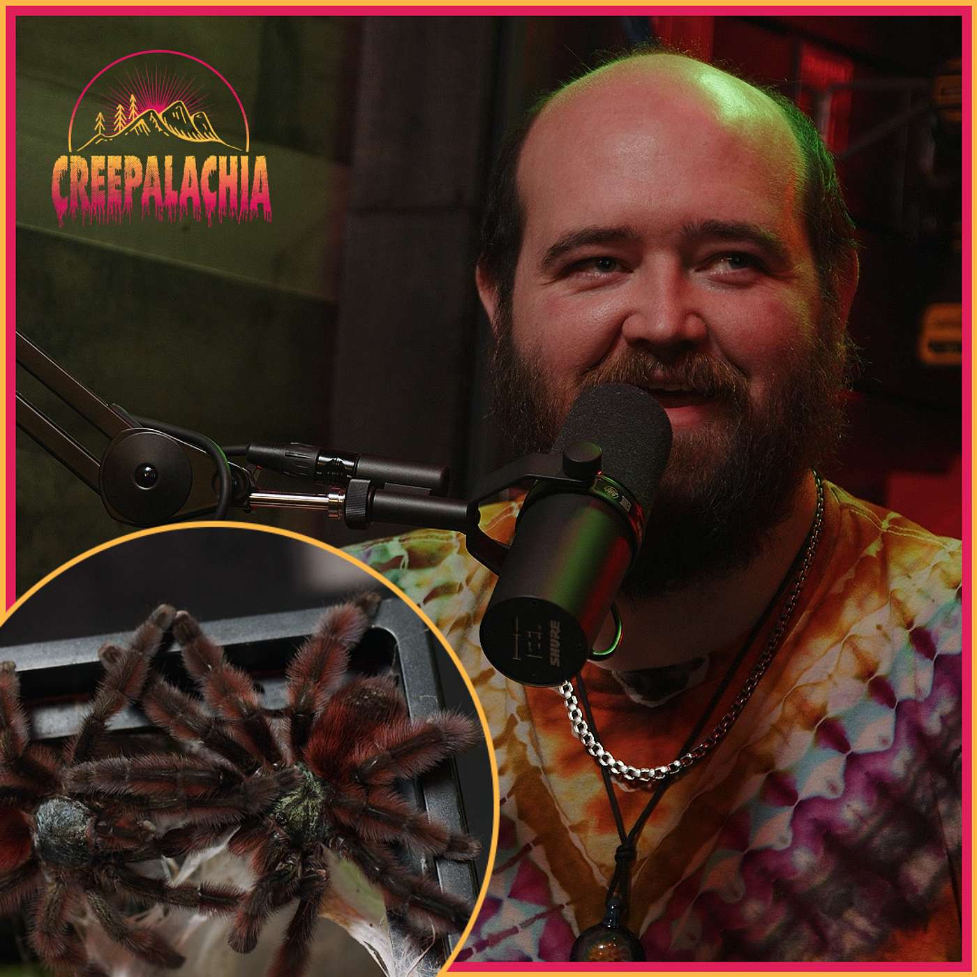 Tarantulas Make Babies in Studio | The Tie Dyed Tarantula w/ Brian McPeak | 17
