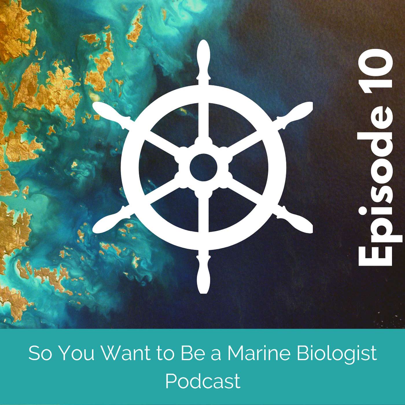 So You Want to Be a Marine Biologist