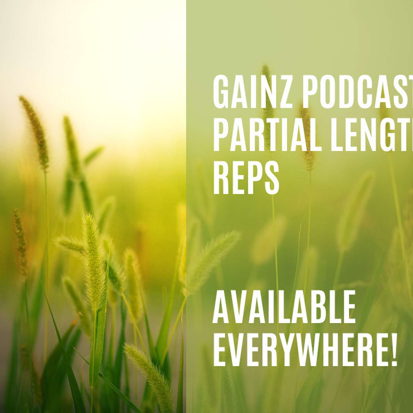 Gainz Podcast