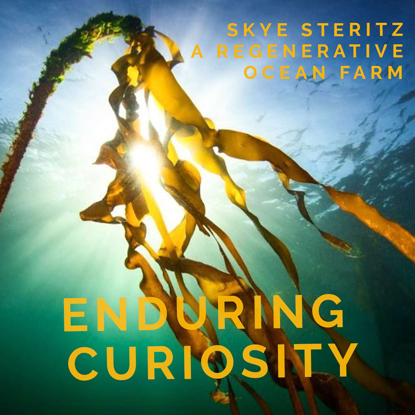 Enduring Curiosity