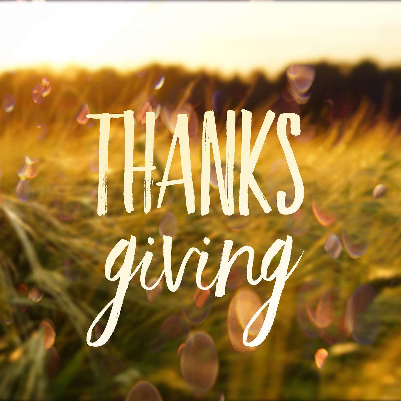 Thanksgiving- Giving