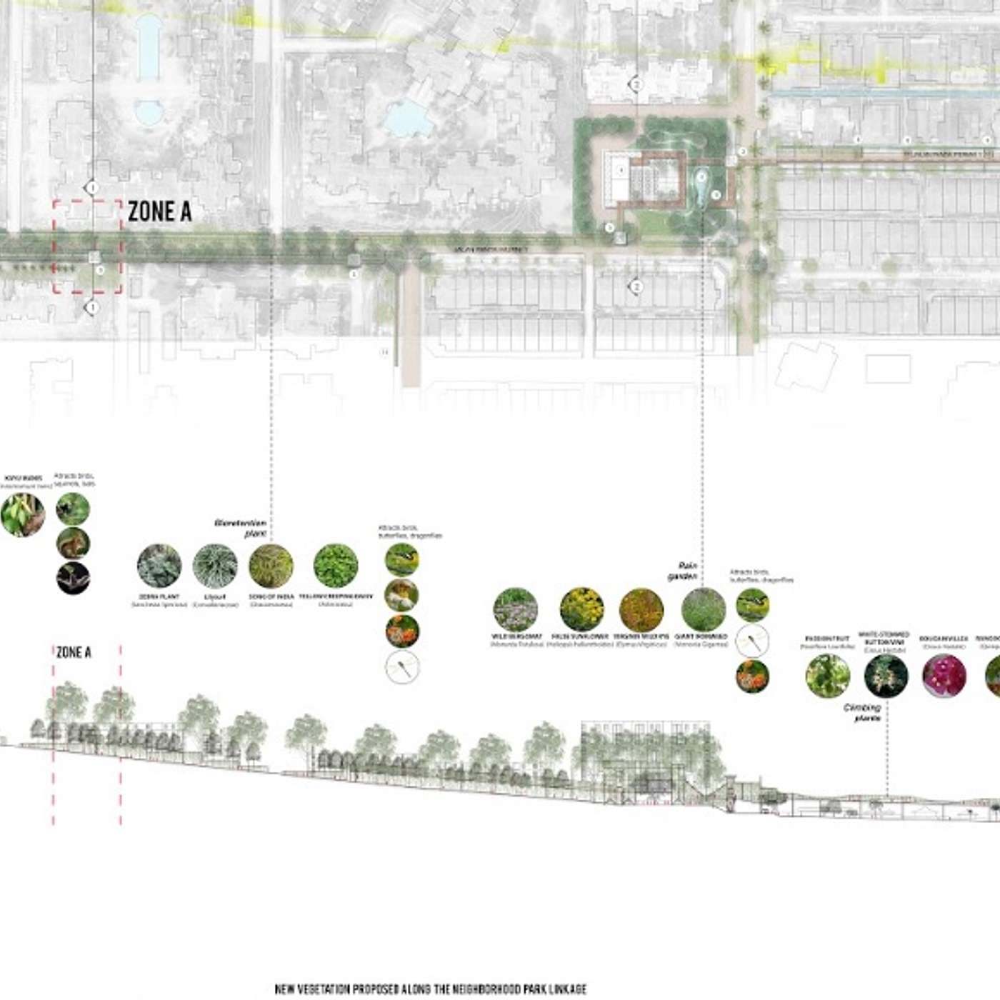 Introduction to the Reasons Why Malaysian Architecture Graduates Cannot Compete Globally