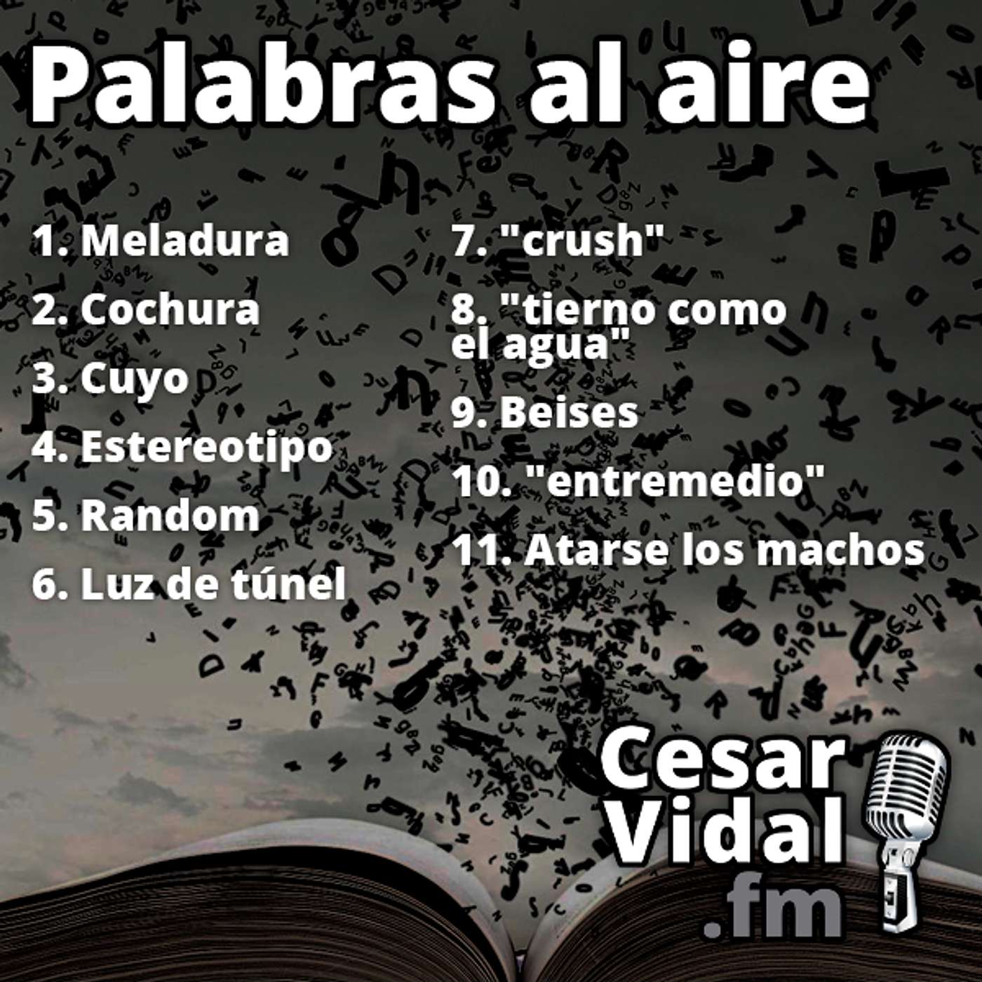 Palabras al aire - 20/01/25